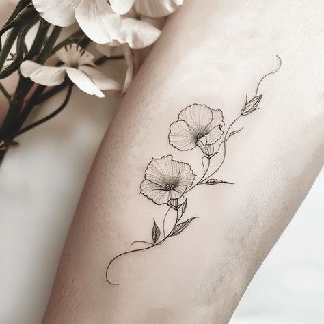 Black And Grey Morning Glory Tattoo, Morning Glory Dainty Tattoo, Morning Glory Name Tattoo, Black And White Morning Glory Tattoo, Morning Glories Tattoo, Fine Line Morning Glory Tattoo, Morning Glory Vine Tattoo, Morning Glory Tattoo Simple, Morning Glory Tattoo Design