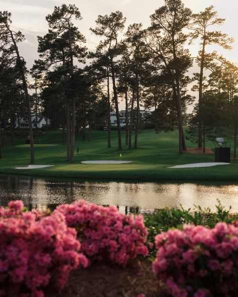 Breathtaking views around every corner at Augusta National Golf Club. Augusta Golf, Masters Tournament, Augusta National Golf Club, Masters Golf, Augusta Ga, Augusta National, Golf Club, Breathtaking Views, Golf Clubs