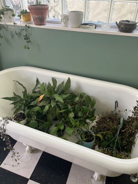 Green plants filling up a bathtub Plants In Bathtub, Bathtub Tattoo, Tattoo Plant, In The Bathtub, Life Goals, Room Inspo, My Favourite, Bath, Shower