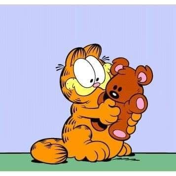 Garfield Pooky, Fat Orange Cat, Garfield Pictures, Garfield Images, Garfield The Cat, Garfield Cartoon, Garfield Cat, Garfield And Odie, Fat Cats