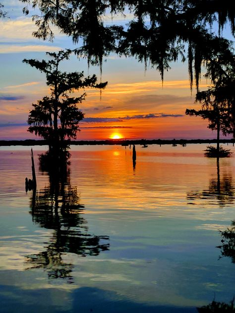 ITAP of a swamp sunset Swamp Pictures, Swamp Sunset, Louisiana Landscape, Bayou Country, Louisiana Swamp, Cypress Swamp, Louisiana Bayou, Louisiana Art, Sunset Rose