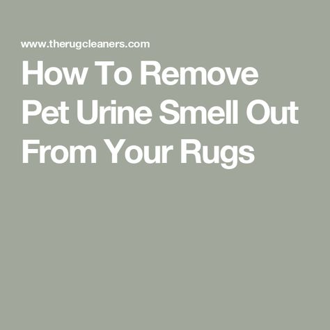 How To Remove Pet Urine Smell Out From Your Rugs Remove Urine Smell, Vinegar Cleaning Solution, Pet Urine Smell, Cat Pee Smell, Cat Urine Smells, Pee Smell, Rug Quotes, Urine Odor, Urine Smells