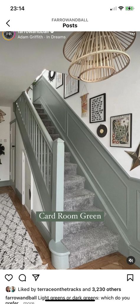 Hallway Grey Carpet, Painted Handrails For Stairs Colour, Grey Stairs And Hallway Ideas, Grey Carpet Hallway And Stairs, Sage Green Staircase, Sage Hallway Ideas, Stairs Panelling Ideas, Sage Staircase, Green Painted Stairs