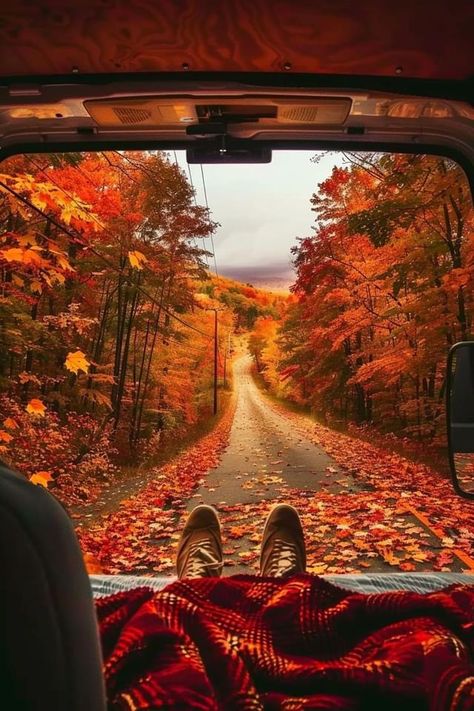 Dark Fall Aesthetic Pictures, Cozy Fall Aesthetic Vintage, Retro Fall Aesthetic, Autumn Cozy Aesthetic, Aesthetic Fall Photos, Fall Vibes Cozy, Aesthetic Scenes, October Aesthetic, Autumn Images