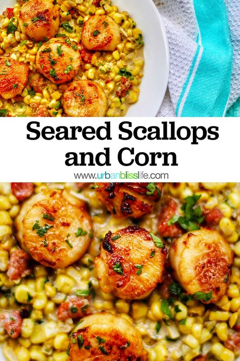 This Seared Scallops dish is on a bed of corn with Filipino longanisa sausage. A little sweet, a lot of savory, and absolutely positively DELICIOUS! A beautiful, elegant, restaurant-style dinner you can cook at home. Recipe on UrbanBlissLife.com Scallops And Corn Recipes, Scallops With Corn, Pescatarian Dishes, Corn Succotash, Scalloped Corn, Scallop Dishes, Garlic Fried Rice, Bbq Shrimp, Seared Scallops