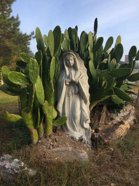 We had no idea this Cactus would grow so well perhaps Our Lady is helping 🙏🏻 Mary Art, Prayer Garden, Hacienda Style Homes, Virgin Mary Art, Mexico House, Mexican Culture Art, Catholic Decor, Brown Pride, Virgin Of Guadalupe