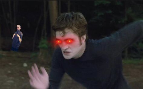 Robert Pattinson Twilight Memes, Eggward Cullen, Tracksuit Rob, Robert Pattinson Meme, Robert Pattinson Twilight, Twilight Funny, Twilight Memes, King Robert, Spider Monkey