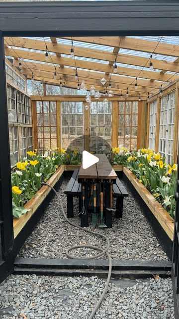 Paulina Burns on Instagram: "Wondering what 300 tulips in a small greenhouse look like?🙌🏻🌷 #greenhouse #greenhouselife #greenhouseinteriors #tulips #tulips🌷 #garden #gardening #gardens #spring" Small Greenhouse Interiors, Greenhouse Interiors, Small Greenhouse, Tulips Garden, Wood Projects, Flower Garden, Tulips, Wonder, Wood