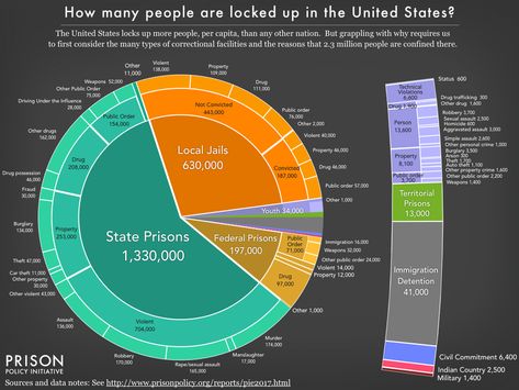 Family Diversity, Prison Reform, Infographics Design, Restorative Justice, Correctional Facility, Mass Incarceration, Federal Prison, Lock Up, Many People