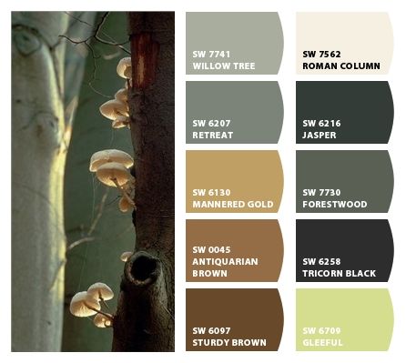 Instantly turn any picture into a palette with ColorSnap, created for you by Sherwin-Williams. Mannered Gold Sherwin Williams, Green Gold Cream Color Schemes, Sherwin Williams Color Palette, Cream Color Scheme, Seeds Color, Sherwin Williams Colors, Paint Inspiration, Comfort Gray, Colour Combos