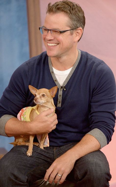 matt damon ... Chihuahua Training, Celebrity Dogs, Easiest Dogs To Train, Famous Dogs, Cute Chihuahua, Matt Damon, Chihuahua Love, Instagram Content, Chihuahua Dogs