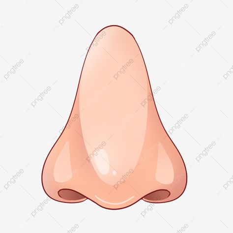 Printable Eyes Nose And Mouth, Nose Picture, Nose Template, Organs Illustration, Nose Image, Nose Clipart, Nose Illustration, Nose Cartoon, Mouth Clipart