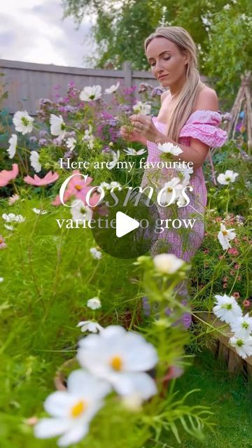 Cara Thompson I MAKE IT FLOURISH on Instagram: "Just some of my favourite varieties of Cosmos to grow over the last few years. 💁🏼‍♀️What are your favourites? 🌱 Grown from @mrfothergills 🌸‘Make it Flourish Together’ sponsored by @mrfothergills & @sylvagrow 🌸 💁🏼‍♀️ Follow for daily flourishing JOY 🌸 LIVE Flower Sow Alongs 🌱 Community growing and gardening #joy #flowers #plants #letsgrow #inspiredbypetals #sharejoy #flowergrower #growingfromseed #thehappygardeninglife #gardeninspiration #gardening #inspiredbypetals #whimsical #growyourownflowers #flowerinspiration #floralperfection #flowersof2023 #flowerpower #lupinflower #perrenials #joy #joyfulliving #horticulture #petalperfection" Cosmos Garden, Flower Cosmos, Cosmos Plant, Cosmos Flowers, Flowers Plants, Grow Your Own, Horticulture, Garden Beds, Garden Inspiration