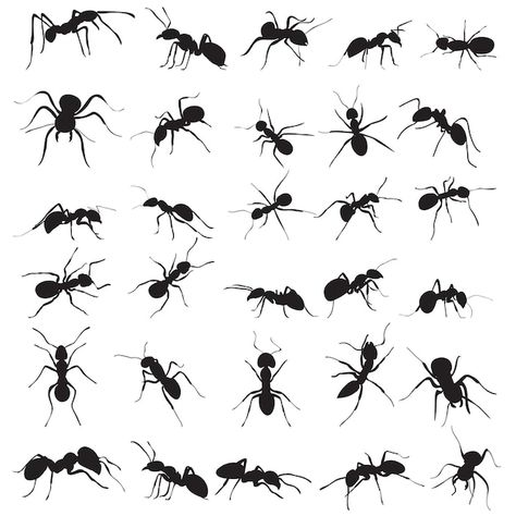 Small Ant Tattoo, Ant Tattoo Small Cute, Ants Drawings, Ant Drawing Easy, Drawing Ants, Ant Tattoo Small, Ant Graphic, Ant Silhouette, Ants Tattoo