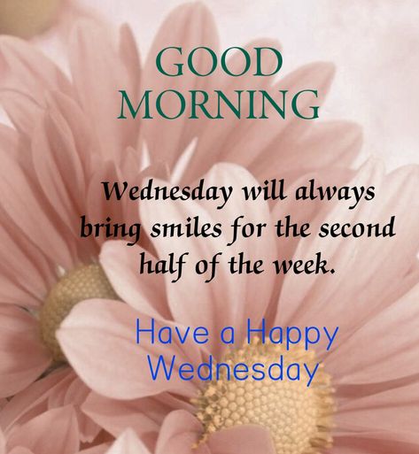 Wednesday Morning Quotes, Week Blessings, Wednesday Greetings, Lovely Good Morning Images, Good Morning Wednesday, Happy Wednesday Quotes, Happy Weekend Quotes, Wednesday Quotes, Weekend Quotes