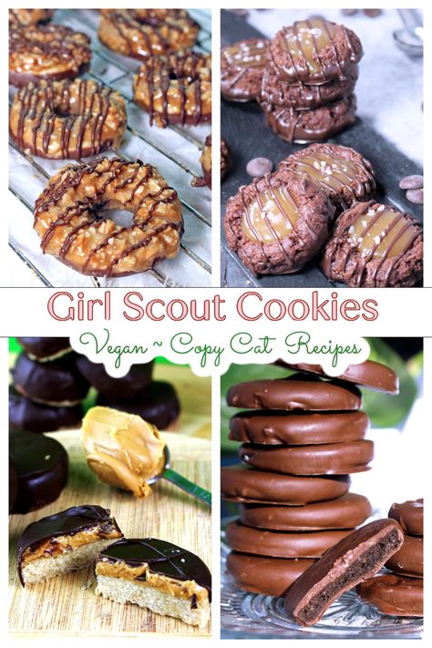 Girl Scout Cookie Recipes, Mint Chocolate Cake, Mint Cake, Chocolate Chip Cake, Vegan Bakery, Food Vegan, Girl Scout Cookies, Mint Chocolate Chips, Vegan Dessert Recipes