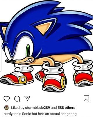 Pin on sonic Sonic Funny, Blue Hedgehog, Sonic Franchise, Sonic And Shadow, Sonic Boom, Sonic Fan Art, Sonic Art, Shadow The Hedgehog, صور مضحكة