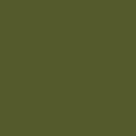 Soldier Green / #545a2c Hex Color Code Pantone Background, Colour Palette Green, Space Information, Green Pantone, Munsell Color System, Color Palette From Image, Palette Green, Black And White Books, Hexadecimal Color