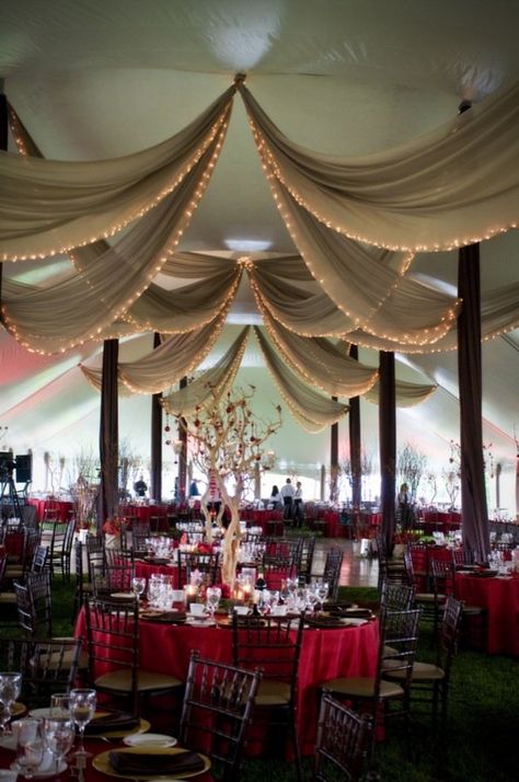 Wedding Tent Decorations, Wedding Draping, Draping Techniques, Wedding Ceiling, Ceiling Draping, Backyard Canopy, Tent Decorations, Wedding Event Decor, Ceiling Treatments