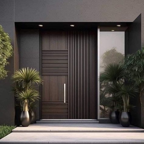 Modern entry door