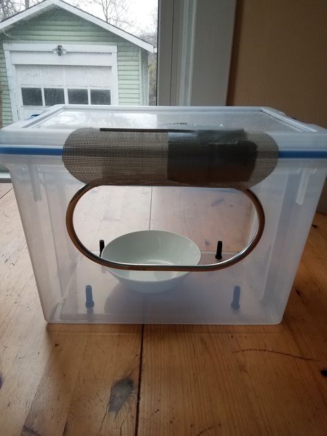 Cat Feeder Dog Proof, Dog Proof Cat Feeder, Cat Feeder Station, Auto Cat Feeder, Round Tuit, Cat Food Station, Catio Ideas, Cat Feeding Station, Cat Hotel