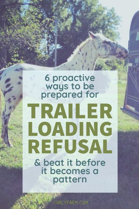 Is any problem more frustrating than packing up for a show or trail ride- usually running a bit behind- and rushing to load your horse just to find the horse won’t walk into the trailer? In this article, I’ll be discussing the problem and describing specific training interventions you can use right now Horse Loading Into Trailer, Painting A Horse Trailer, Stable Management, Horse Driving, Western Dressage, Natural Horsemanship Training, Horse Training Exercises, Horseback Riding Tips, Cowgirl Stuff