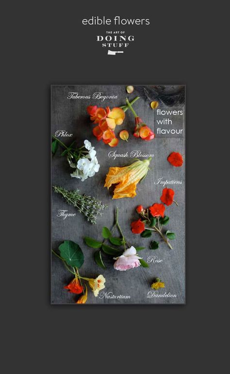 Edible flowers you can forage or find at the garden centre.The Art of Doing Stuff Boxed Flowers, Eatable Flowers, Common Flowers, Edible Fruit Arrangements, Tuberous Begonia, Solid Texture, Edible Arrangements, Daffodil Flower, Peonies Garden