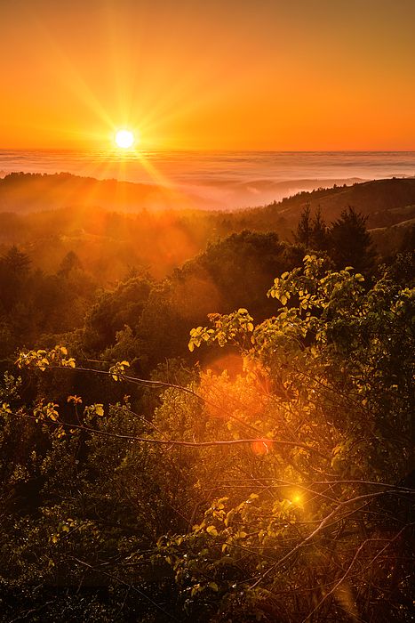 Title  Sunset Fog Over The Pacific #2   Artist  Bryant Coffey   Medium  Photograph - Photograph Wallpaper Sunrise, Fall Sunset, Sunset Rose, Oceanography, Amazing Sunsets, Natural Scenery, Sunrise Photography, Beautiful Sky, The Pacific