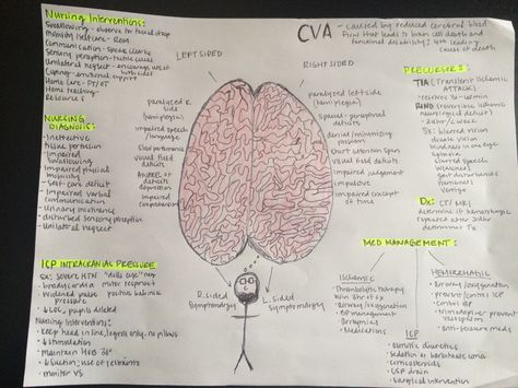 CVA #nursing Cva Nursing, Nursing Knowledge, Nursing Study Guide, Nursing Mnemonics, Nursing Study, Nursing School, Study Guide, Nursing, Brain