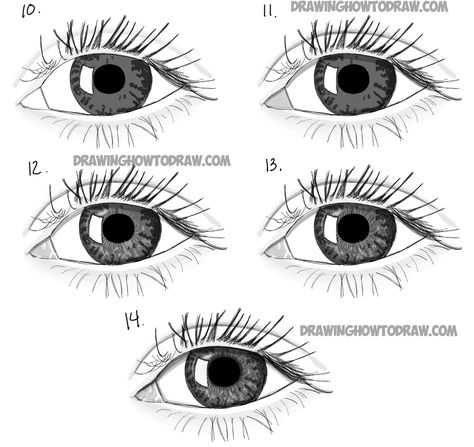 Eye Pencil Drawing, Roblox Accessories, Easy Eye Drawing, Realistic Eyes, Realistic Eye Drawing, Tree Drawings Pencil, Draw Realistic, Drawing Eye, Easy Drawings For Beginners