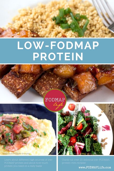 low fodmap protein Low Fodmap High Protein, Low Fodmap High Protein Recipes, Low Fodmap Recipes Vegetarian, Fodmap Meal Plan, Fodmap Diet Recipes, Gluten Free Sides, Protein Rich Foods, Protein Diets, Fodmap Diet