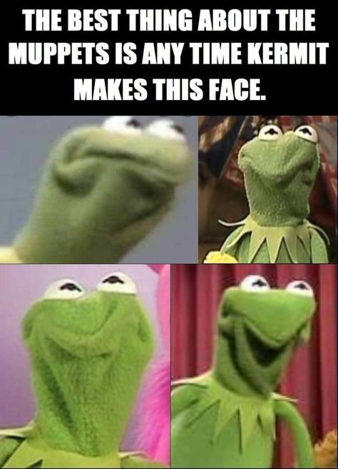 Kermit Memes, Discord Memes, Tv Memes, Kermit Funny, Funny Pix, The Muppets, Funny Images Laughter, Funny Dude, Very Funny Pictures