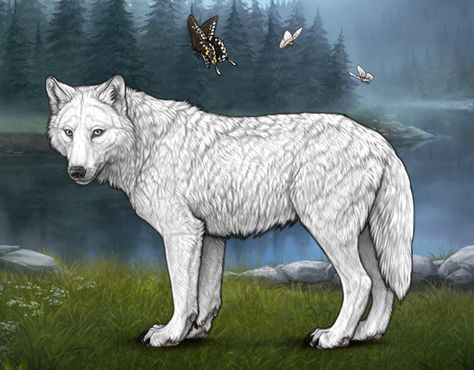 *Sugar* (Aggressive) |:| Wolvden Albino Wolf, Fantasy Alien, Wolf’s Rain, Anime Wolf Drawing, Wolf Oc, Anime Wolves, 10 Animals, Evil Smile, Alpha And Omega