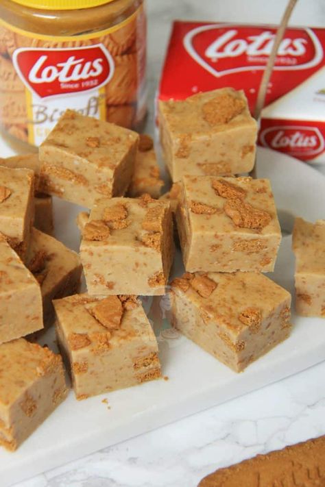 Biscoff Fudge, Slow Cooker Fudge, Cookies And Cream Fudge, Biscoff Recipes, Cream Fudge, Janes Patisserie, Triple Chocolate Cookies, Biscoff Cookie Butter, Tray Bake Recipes