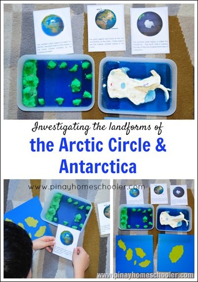 Landforms of the Arctic Circle and Antarctica Arctic Vs Antarctic For Kids, Arctic Activities, Arctic Animals Preschool Activities, Antarctica Continent, Montessori Elementary Classroom, Homeschool Themes, December Themes, Frozen Planet, Montessori Geography