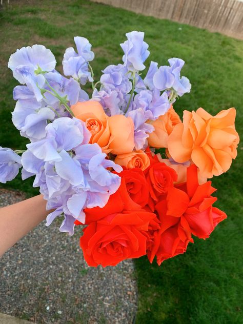 Coral Blue Purple Wedding, Sweet Pea Wedding, Bright Wedding Colors, Purple Bouquet, Forever Flowers, Blue Bouquet, Flower Therapy, Bouquet Arrangements, Wedding Mood