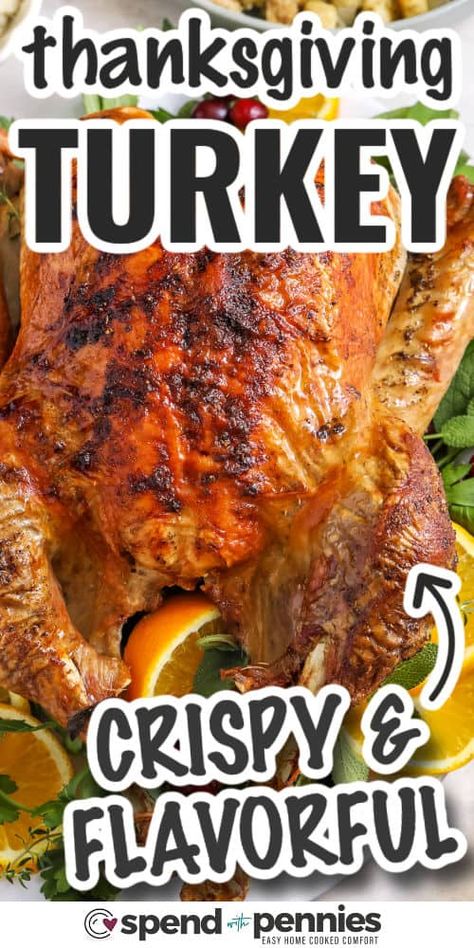 Thanksgiving Turkey Best Turkey For Thanksgiving, Turkey Recipes Easy Simple, What To Season Turkey With, Cooking A Stuffed Turkey In The Oven, Best Way To Roast A Turkey, How To Cook A Whole Turkey, Most Flavorful Turkey, Fresh Turkey Recipes Thanksgiving, Big Easy Turkey Recipe