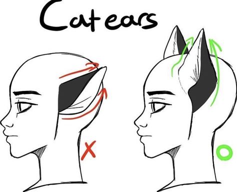 Ears Drawing, Draw Cat, Body Drawing Tutorial, Fluffy Cat, Commissions Open, Anatomy Art, Animal Ears, Art Tutorials Drawing, Digital Art Tutorial