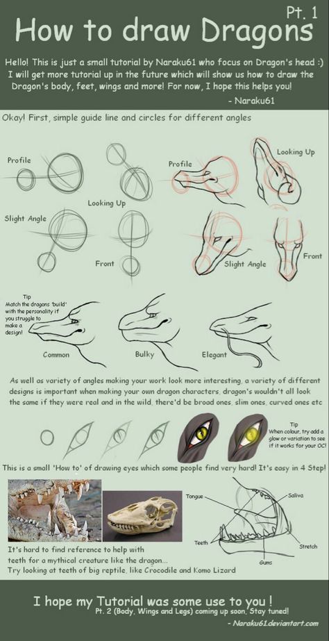 How To Draw Dragons, Dragon Poses, Dragon Anatomy, Dragon Sketch, Dragon Scales, Creature Drawings, Dragon Pictures, Dragon Artwork, Dragon Drawing