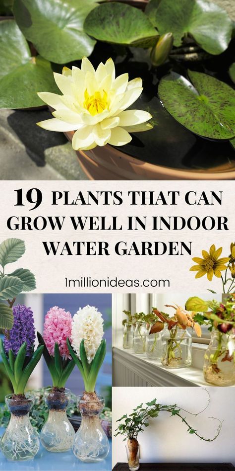 n addition to growing houseplants in the living space, many people also prefer to add a water feature such as a mini pond, a mini water fountain. However, just a water feature, isn’t enough to add the beauty of nature to your home. Water plants are great additions, they not only make a pond or water fountain all the more interesting but also improve the quality of the air. That is the reason why in this post today, we want to share 19 Plants That Can Grow Well In Indoor Water Garden. Mini Water Fountain, Aquatic Terrarium, Indoor Plant Care Guide, Plants Grown In Water, Water Terrarium, Indoor Pond, Mini Pond, Diy Water Feature, Indoor Water Garden