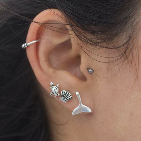 Tragus Hoop Piercing, Cute Cartilage Earrings, Marine Jewelry, Silver Pearl Jewelry, Cool Ear Piercings, Pretty Ear Piercings, Small Earrings Studs, Girly Jewelry, Small Earrings