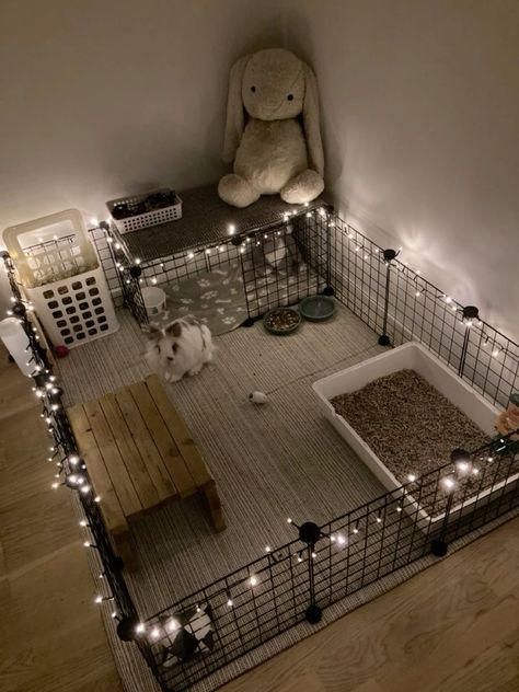 Rabit cage Rabit Cage, Rabbit Cage Setup, Diy Bunny Cage, Diy Rabbit Cage, Indoor Rabbit Cage, Outdoor Rabbit, Rabbit Enclosure, Rabbit Habitat, Pet Rabbit Care