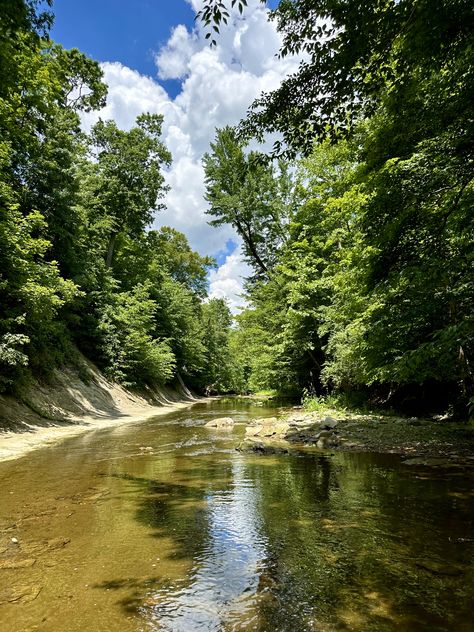 Beautiful day for a walk in the creek! May 31, 2023 Crew Of The Creek, Creek In The Woods, Queen Creek Wash Photo, Crag Of The Creek, Meadows At Mossy Creek, Landscape References, Cornelia Street, Cottage Witch, Fantasy Aesthetic