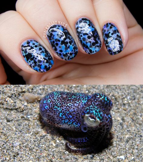 Bobtail Squid Pattern Nail Art Squid Pattern, Bobtail Squid, Chalkboard Nails, Fingernails Painted, Animal Nail Art, Funky Nail Art, Dot Nail Art, Animal Print Nails, Great Nails