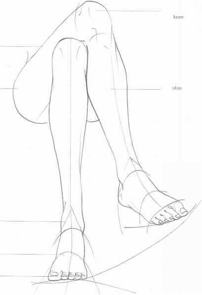 Illustration Poses, Leg Anatomy, Drawing Legs, Structural Drawing, Drawing Body Poses, Human Anatomy Art, Body Reference Drawing, Body Pose Drawing, 인물 드로잉