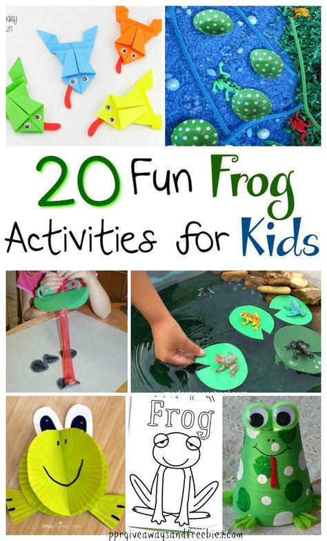 Frogs can be so cute! Okay, maybe not when they’re slimy in the water, but the frogs in these 20 activities sure are cuties. Spring is a great time to teach the kids about these green guys. There’s plenty of projects, games, and crafts to keep everyone entertained all day. There’s craft projects such as making a frog out of a styrofoam cup and a froggy coloring page in this 20 Fun Frog Activities for Kids, Frog Activity, Frogs Preschool, Frog Activities, Frog Sketch, Frog Theme, Frog Wallpaper, Frog Crafts, Frog Illustration, Frog Drawing