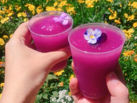 Butterbeer Ice Cream Recipe, Butterbeer Ice Cream, Violet Lemonade, Purple Food Coloring, Disney Drinks, Purple Food, Lemonade Drinks, Popular Drinks, Garden Festival