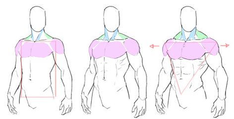 Different Anatomy Styles, How To Draw Pectorals, How To Draw Pecs Male, Muscle Tutorial Drawing, Art Base Two People, Masculine Body Reference, Torso Drawing Tutorial, Muscular Reference, Muscle Tutorial