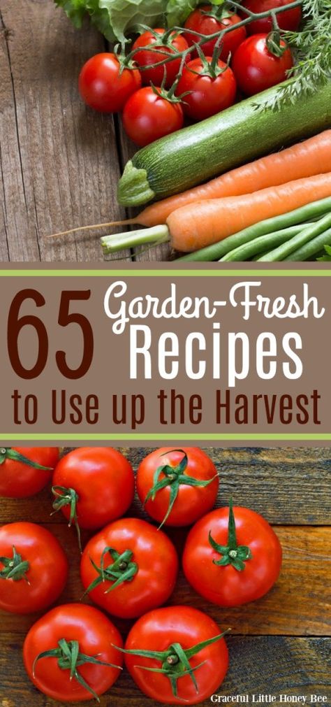 Check out this list of 65 Garden-Fresh Recipes that will help you use up your harvest or your farmer's market produce! Find the recipes at gracefullittlehoneybee.com #garden #easyrecipes #homegrown Garden Vegetable Recipes, Farmer Recipes, Fresh Vegetable Recipes, Produce Recipes, Farmers Market Recipes, Homegrown Food, Farm Fresh Recipes, Home Grown Vegetables, Fresh Recipes