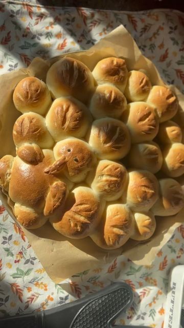 Breaking bread ✨Amanda✨ on Instagram: "This is your sign to turn your thanksgiving day dinner rolls into a fun Turkey! 🥰🦃 . . . These are sourdough discard yeast rolls but you can use your secret family recipe, frozen or any ol’ rolls… . . . . Black peppercorn eyes, milk wash top, after bake—>melted butter and flaky salt….👍🏼 . . . #sourdoughdiscard #dinnerrolls #thanksgiving #thanksgivingdinner #thanksgiving🦃" Homemade Rolls Thanksgiving, Turkey Shaped Bread Rolls, Thanksgiving Sourdough Rolls, Turkey Dinner Rolls, Turkey Shaped Rolls, Thanksgiving Bread Ideas, Thanksgiving Buns, Sourdough Thanksgiving Recipes, Thanksgiving Black Families Food